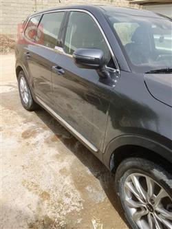 کیا تێلوراید